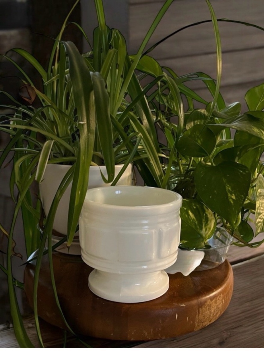 Vintage Milk Glass Vase Planter, Embossed Greek Style Pedestal Randall